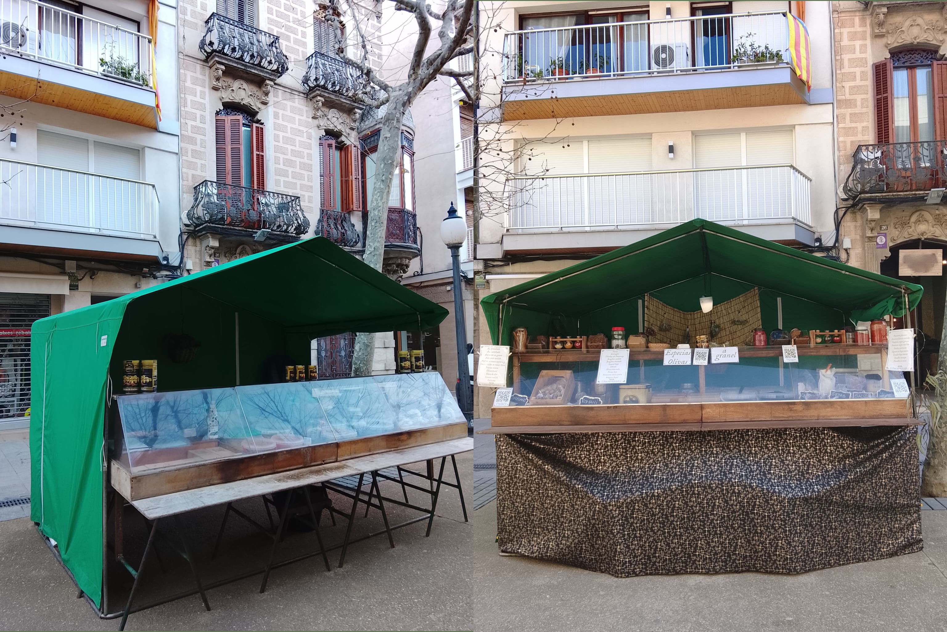 Aceitunas negras de Aragón y verdes sevillanas en grandes recipientes
